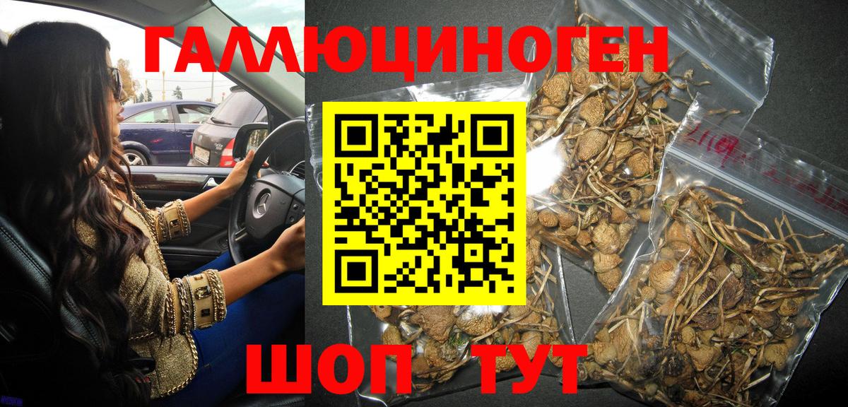 Галлюциногенные грибы мицелий  Вход с VPN  Тельмана 